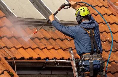 Démoussage et hydrofuge de toiture à Faux-Mazuras